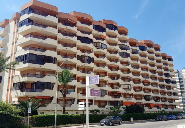Roma Vii Apartamentos En Playa De Gandia