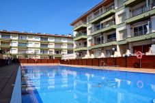 Studio in Estartit - OMEGA ESTUDI - Estudio 2 PAX